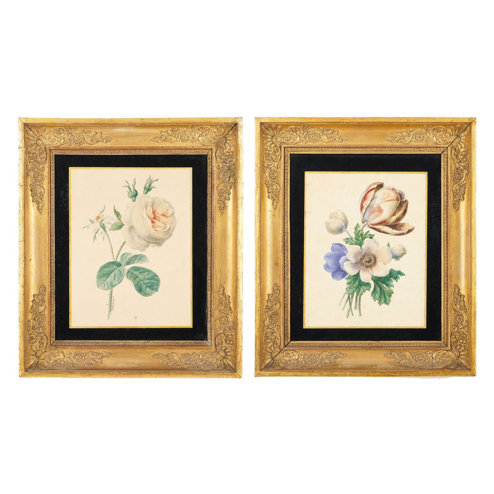 Pair of French botanical watercolors in period frames by Clotilde de Bost (c. 1815)