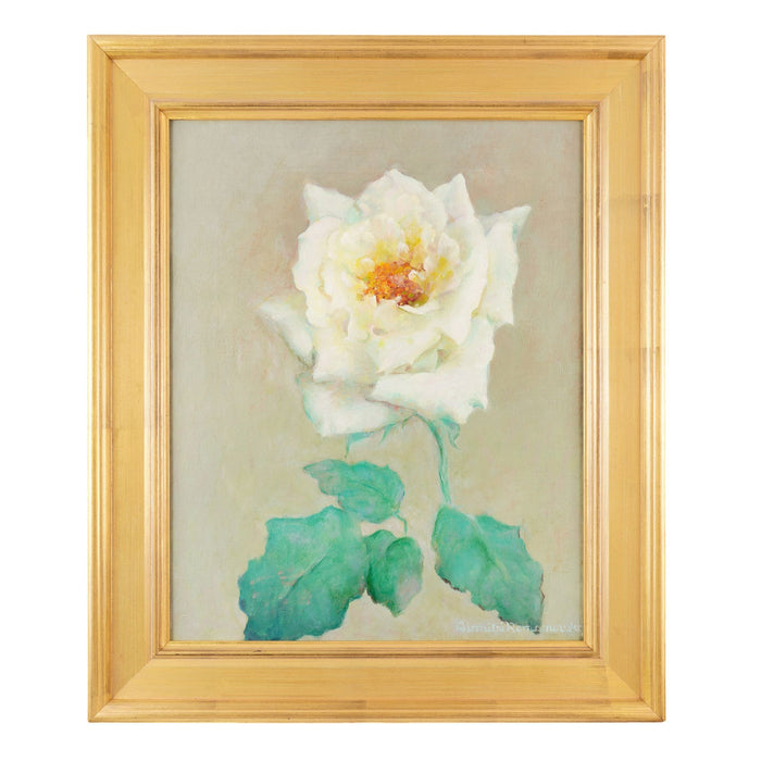 Botanical Specimen Rose by Dimitri Romanovski (c. 1950)