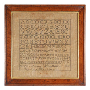 Descriptive image text