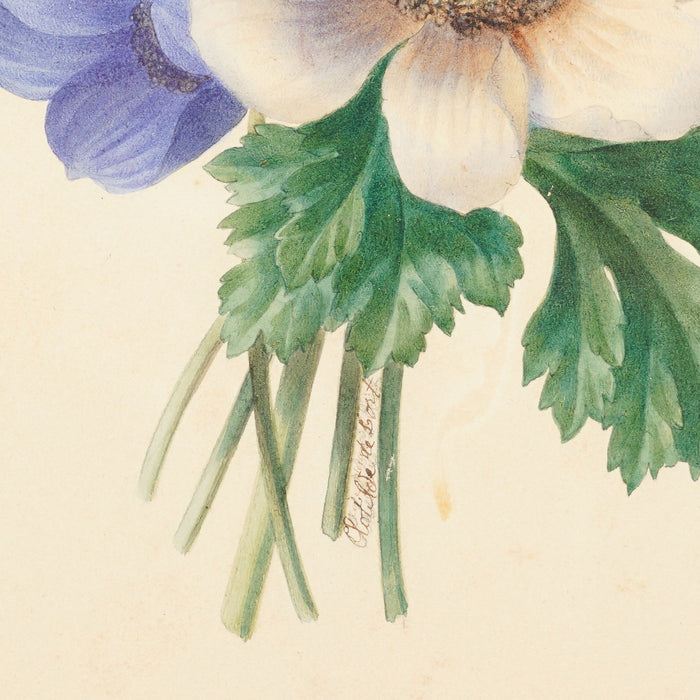 Pair of French botanical watercolors in period frames by Clotilde de Bost (c. 1815)