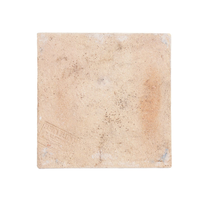 Set of 6 Portuguese hand painted botanical faience tiles in the Dutch taste by Fábrica Sant'Anna (1995)