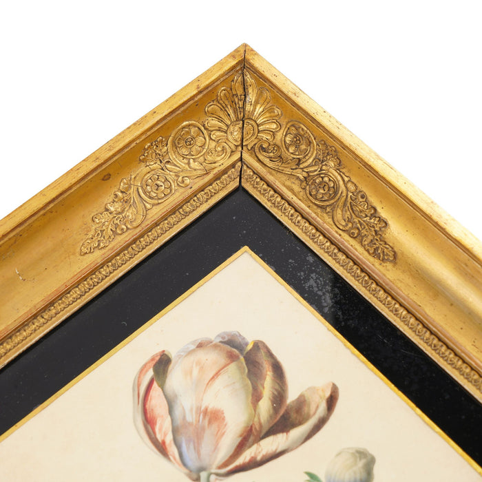 Pair of French botanical watercolors in period frames by Clotilde de Bost (c. 1815)