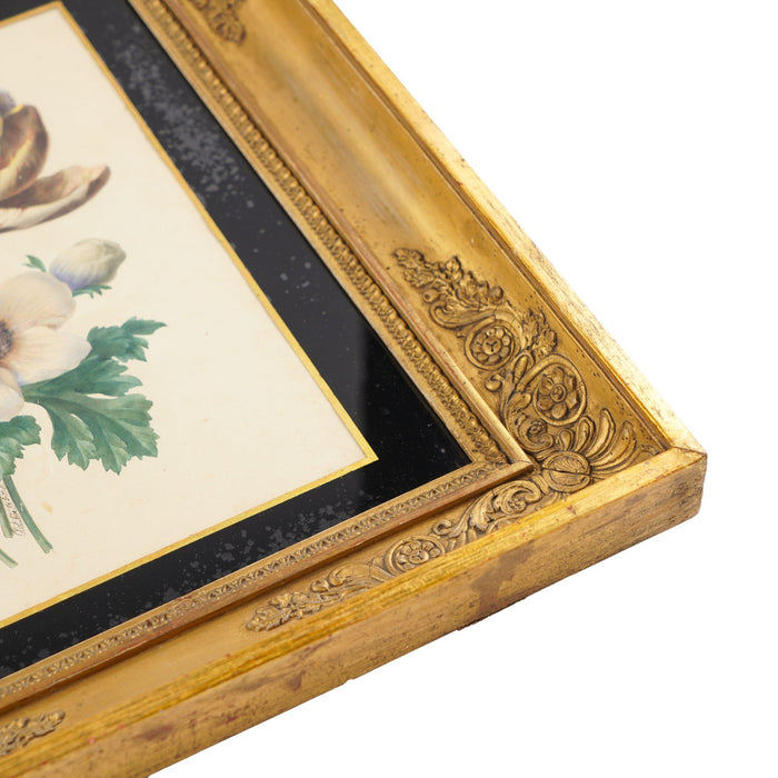 Pair of French botanical watercolors in period frames by Clotilde de Bost (c. 1815)