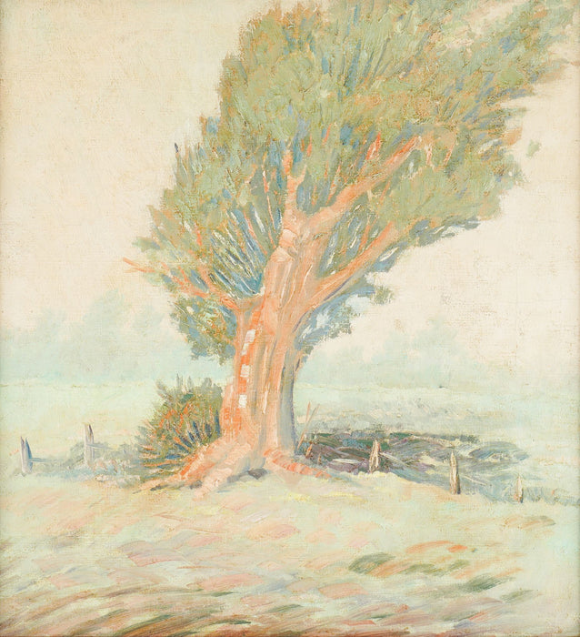 California Impressionist study of a cypress tree (1950's)