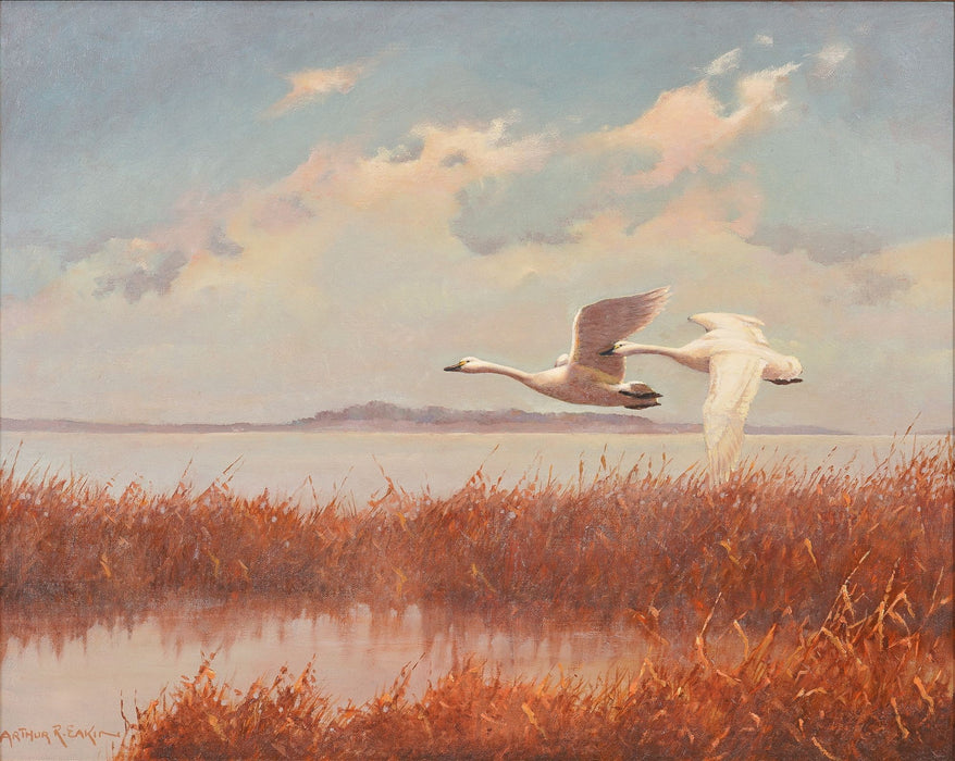 Flight of Swans by Arthur Eakin (c. 1900's)