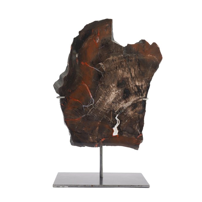 Geological specimen of Southwestern American petrified wood on stand