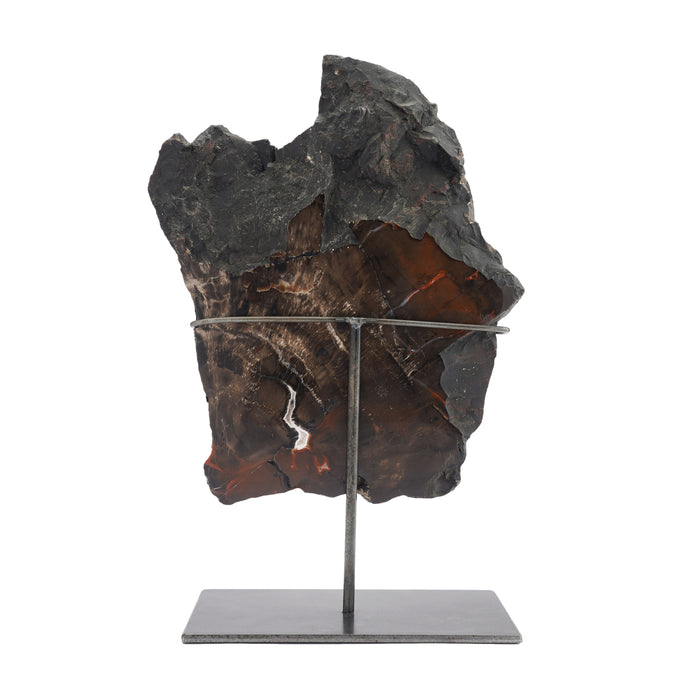 Geological specimen of Southwestern American petrified wood on stand