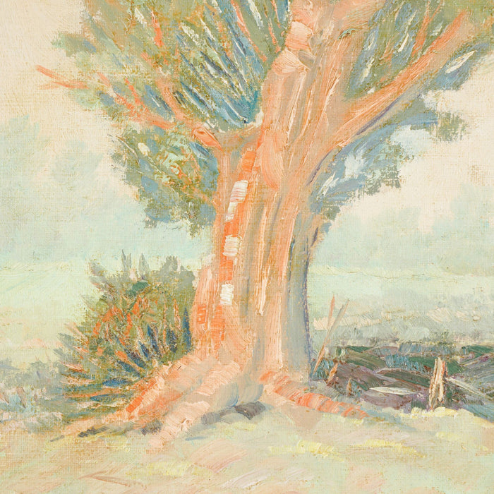 California Impressionist study of a cypress tree (1950's)
