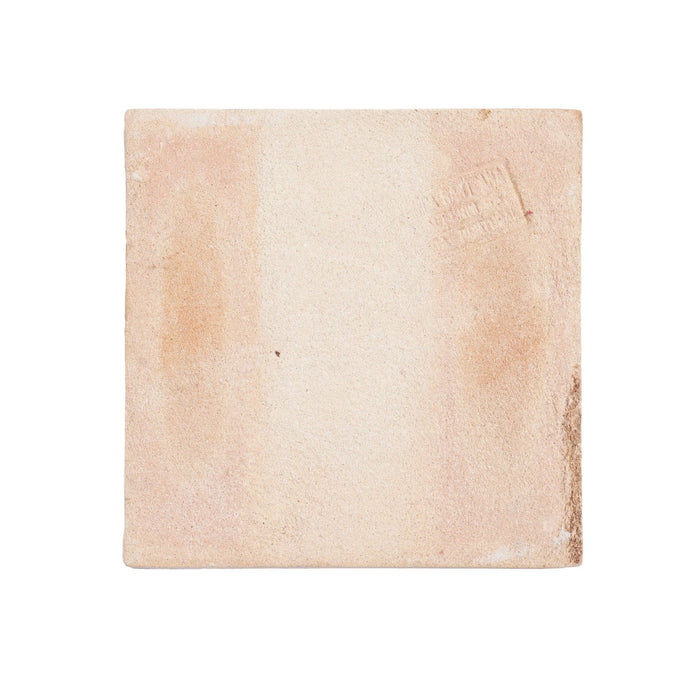 Set of 6 Portuguese hand painted botanical faience tiles in the Dutch taste by Fábrica Sant'Anna (1995)