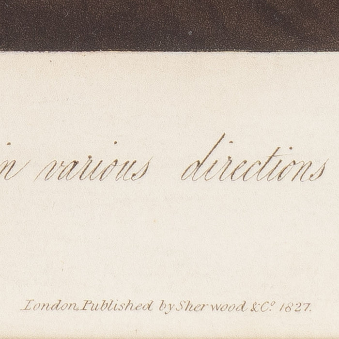 Charvolents Travelling In Various Directions With the Same Wind by S. Colman (1827)