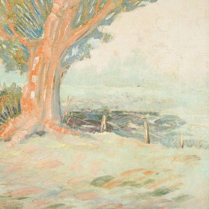 California Impressionist study of a cypress tree (1950's)