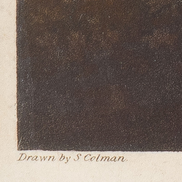 Charvolents Travelling In Various Directions With the Same Wind by S. Colman (1827)
