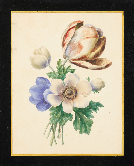 Pair of French botanical watercolors in period frames by Clotilde de Bost (c. 1815)