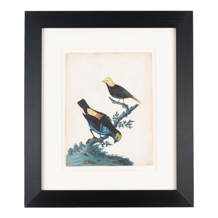 Pair of basso-relievo ornithological studies by Isaac Spackman (1754-69)