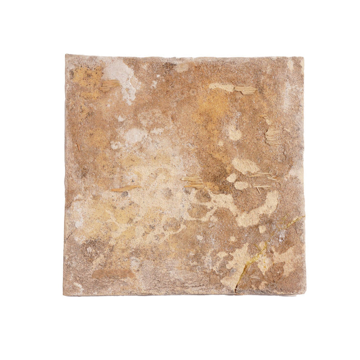 Set of 4 rare Delft tiles of fruit (c. 1600's)