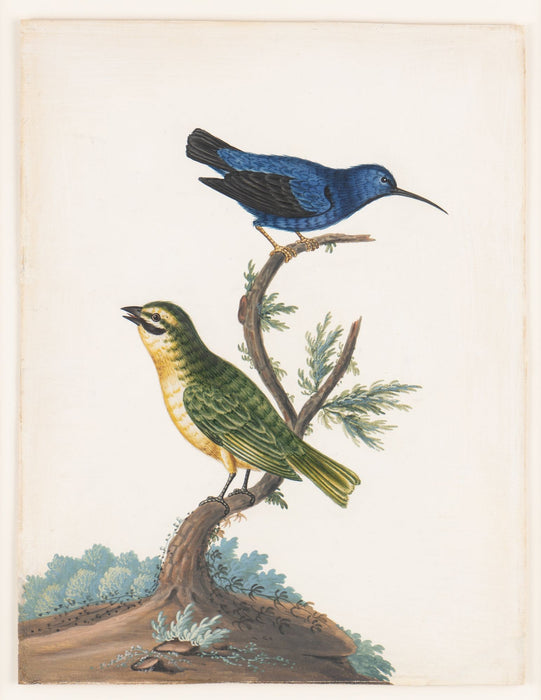 Pair of basso-relievo ornithological studies by Isaac Spackman (1754-69)