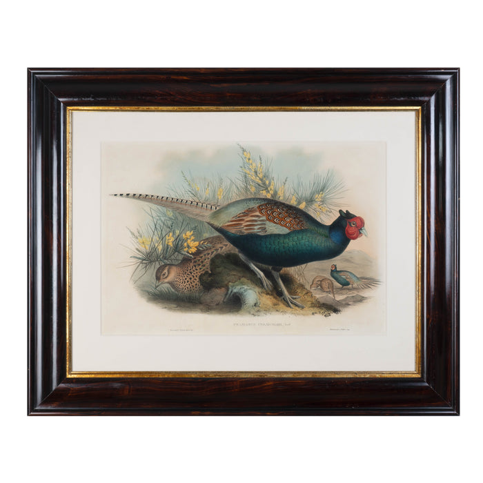 Lithographs & Serigraphs